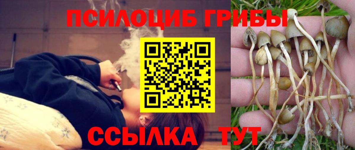 Галлюциногенные грибы GOLDEN TEACHER Каспийск